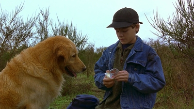 1997_-_Air_Bud_mp44305.jpg