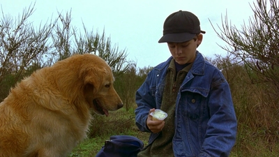 1997_-_Air_Bud_mp44306.jpg