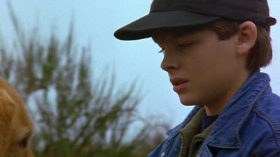 1997_-_Air_Bud_mp44326.jpg
