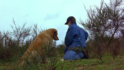 1997_-_Air_Bud_mp44330.jpg
