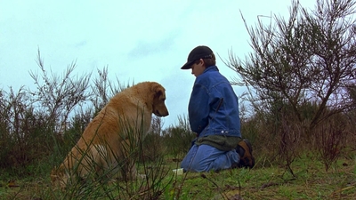 1997_-_Air_Bud_mp44331.jpg