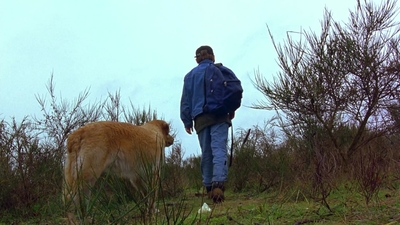 1997_-_Air_Bud_mp44344.jpg