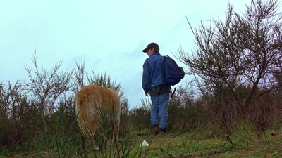 1997_-_Air_Bud_mp44345.jpg