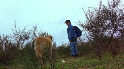 1997_-_Air_Bud_mp44346.jpg