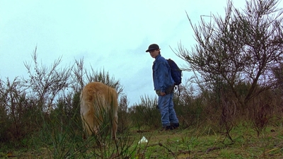 1997_-_Air_Bud_mp44347.jpg
