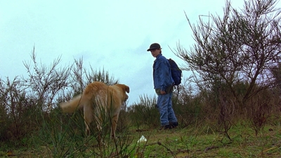 1997_-_Air_Bud_mp44348.jpg