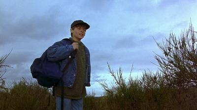 1997_-_Air_Bud_mp44360.jpg
