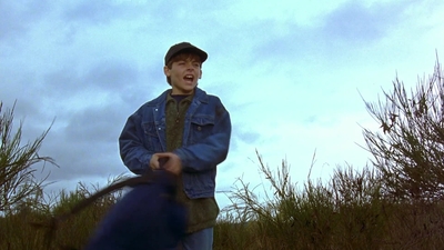 1997_-_Air_Bud_mp44366.jpg