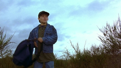 1997_-_Air_Bud_mp44367.jpg