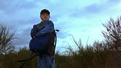 1997_-_Air_Bud_mp44378.jpg