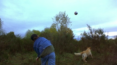 1997_-_Air_Bud_mp44393.jpg