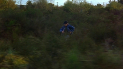 1997_-_Air_Bud_mp44408.jpg