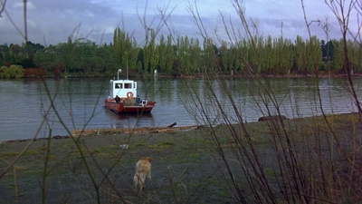 1997_-_Air_Bud_mp44432.jpg