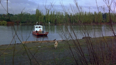 1997_-_Air_Bud_mp44433.jpg