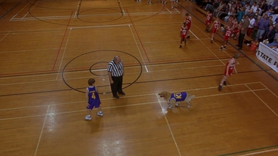 1997_-_Air_Bud_mp44860.jpg