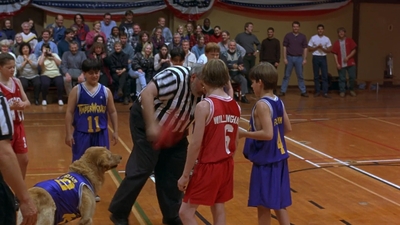 1997_-_Air_Bud_mp44949.jpg