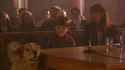 1997_-_Air_Bud_mp45325.jpg