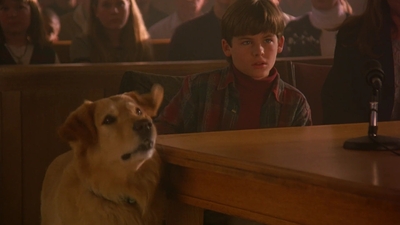1997_-_Air_Bud_mp45359.jpg