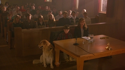 1997_-_Air_Bud_mp45378.jpg