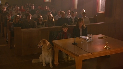 1997_-_Air_Bud_mp45379.jpg