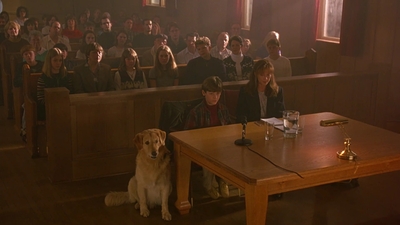 1997_-_Air_Bud_mp45380.jpg