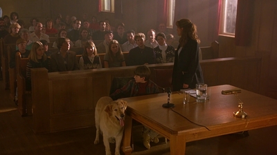 1997_-_Air_Bud_mp45437.jpg