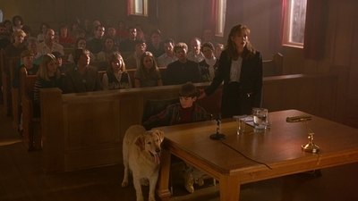 1997_-_Air_Bud_mp45438.jpg