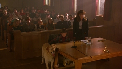 1997_-_Air_Bud_mp45439.jpg