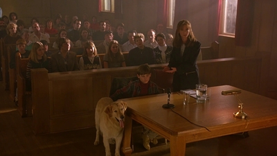 1997_-_Air_Bud_mp45441.jpg