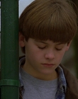 1997_-_Air_Bud_mp40608.jpg