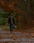 1997_-_Air_Bud_mp40610.jpg