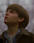 Filename=1997_-_Air_Bud_mp40627.jpg
Filesize=781KiB
Dimensions=1920x1080
Date added=Dec 29, 2023 1997_-_Air_Bud_mp40627.jpg