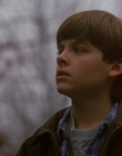Filename=1997_-_Air_Bud_mp40632.jpg
Filesize=766KiB
Dimensions=1920x1080
Date added=Dec 29, 2023 1997_-_Air_Bud_mp40632.jpg