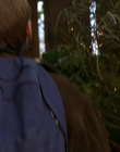 Filename=1997_-_Air_Bud_mp40660.jpg
Filesize=754KiB
Dimensions=1920x1080
Date added=Dec 29, 2023 1997_-_Air_Bud_mp40660.jpg