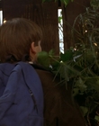 Filename=1997_-_Air_Bud_mp40662.jpg
Filesize=890KiB
Dimensions=1920x1080
Date added=Dec 29, 2023 1997_-_Air_Bud_mp40662.jpg