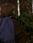Filename=1997_-_Air_Bud_mp40663.jpg
Filesize=915KiB
Dimensions=1920x1080
Date added=Dec 29, 2023 1997_-_Air_Bud_mp40663.jpg