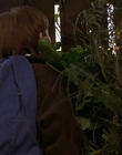 Filename=1997_-_Air_Bud_mp40664.jpg
Filesize=937KiB
Dimensions=1920x1080
Date added=Dec 29, 2023 1997_-_Air_Bud_mp40664.jpg