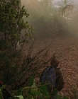 Filename=1997_-_Air_Bud_mp40684.jpg
Filesize=1052KiB
Dimensions=1920x1080
Date added=Dec 29, 2023 1997_-_Air_Bud_mp40684.jpg