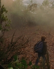 Filename=1997_-_Air_Bud_mp40686.jpg
Filesize=1054KiB
Dimensions=1920x1080
Date added=Dec 29, 2023 1997_-_Air_Bud_mp40686.jpg