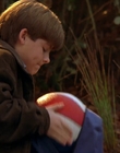 Filename=1997_-_Air_Bud_mp40701.jpg
Filesize=801KiB
Dimensions=1920x1080
Date added=Dec 29, 2023 1997_-_Air_Bud_mp40701.jpg