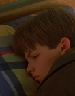 Filename=1997_-_Air_Bud_mp40801.jpg
Filesize=693KiB
Dimensions=1920x1080
Date added=Dec 29, 2023 1997_-_Air_Bud_mp40801.jpg