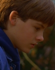 Filename=1997_-_Air_Bud_mp41088.jpg
Filesize=797KiB
Dimensions=1920x1080
Date added=Dec 29, 2023 1997_-_Air_Bud_mp41088.jpg