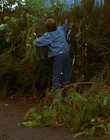 Filename=1997_-_Air_Bud_mp41170.jpg
Filesize=1135KiB
Dimensions=1920x1080
Date added=Dec 29, 2023 1997_-_Air_Bud_mp41170.jpg