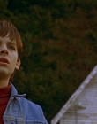 1997_-_Air_Bud_mp41194.jpg
