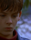 1997_-_Air_Bud_mp41263.jpg