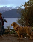 1997_-_Air_Bud_mp41269.jpg