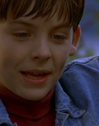 1997_-_Air_Bud_mp41273.jpg