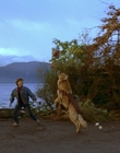 Filename=1997_-_Air_Bud_mp41295.jpg
Filesize=1022KiB
Dimensions=1920x1080
Date added=Dec 29, 2023 1997_-_Air_Bud_mp41295.jpg