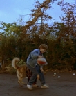 Filename=1997_-_Air_Bud_mp41298.jpg
Filesize=1029KiB
Dimensions=1920x1080
Date added=Dec 29, 2023 1997_-_Air_Bud_mp41298.jpg