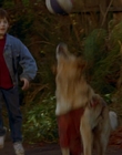 Filename=1997_-_Air_Bud_mp41316.jpg
Filesize=824KiB
Dimensions=1920x1080
Date added=Dec 29, 2023 1997_-_Air_Bud_mp41316.jpg
